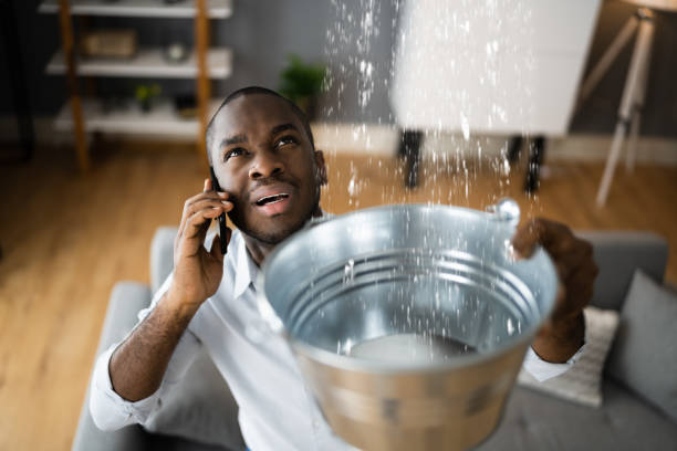 Best 24-hour water damage restoration  in Juno Ridge, FL