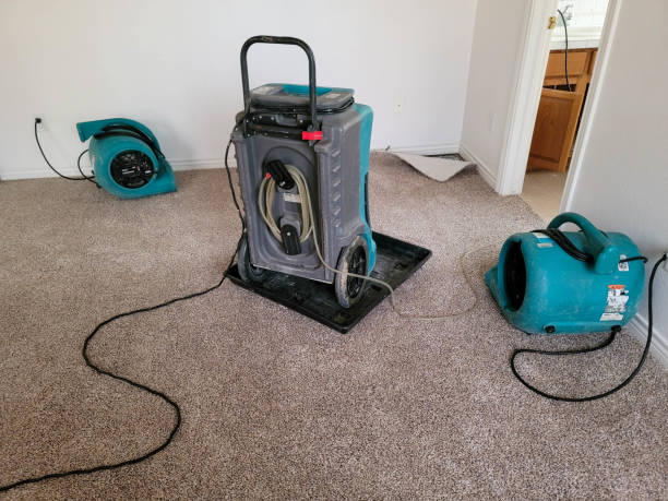  Juno Ridge, FL Water damage restoration Pros
