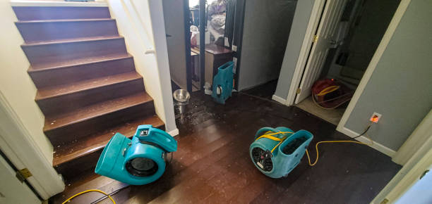 Best Flood damage cleanup  in Juno Ridge, FL