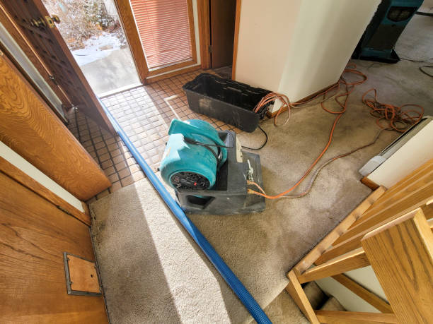 Best Water damage restoration services  in Juno Ridge, FL