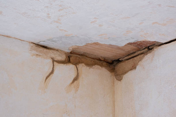Best Ceiling water damage repair  in Juno Ridge, FL