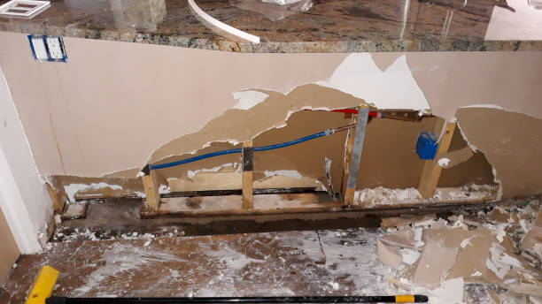Best Mold removal after water damage  in Juno Ridge, FL