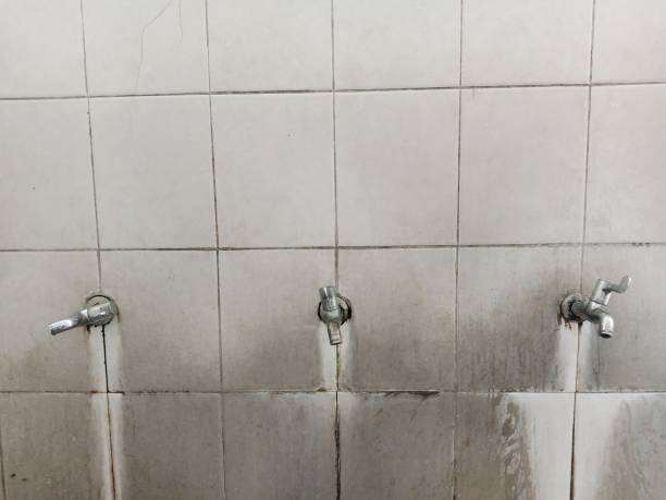 Best Water damage cleanup near me  in Juno Ridge, FL
