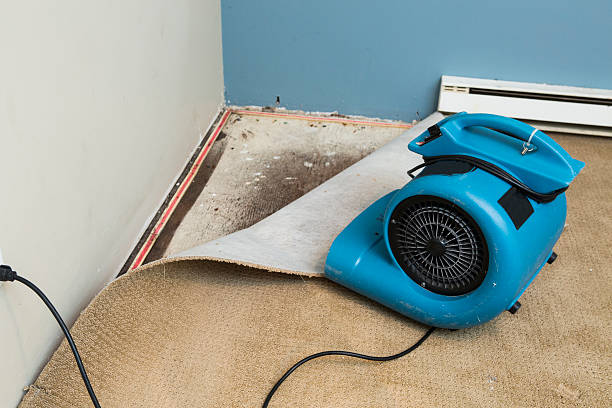 Juno Ridge, FL Water damage restoration Company